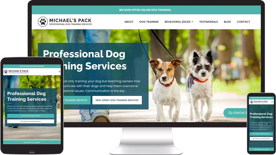 michaels-pack-portfolio