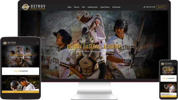 JSMT Web Design & Digital Marketing | Ostrov Baseball Academy